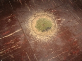 Plumbing, core drilling, plumbing roughing, drain roughing, toilet drains