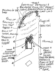 How It Works - Let Nature Build The Berms Using vegetation to reduce flooding and build up land