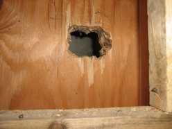 plumbing diy do it yourself shower tub soldering tile bathroom rehabilitation reconstruction design